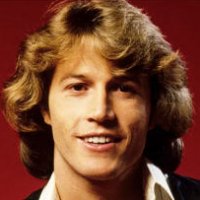 Andy Gibb