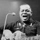 Big Joe Williams