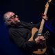 Bob Margolin