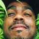 Daz Dillinger