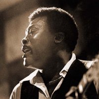 Luther Guitar Junior Johnson